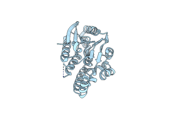 6LVO image