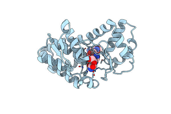 6LWU image