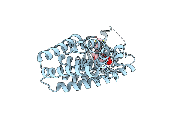 6LXC image