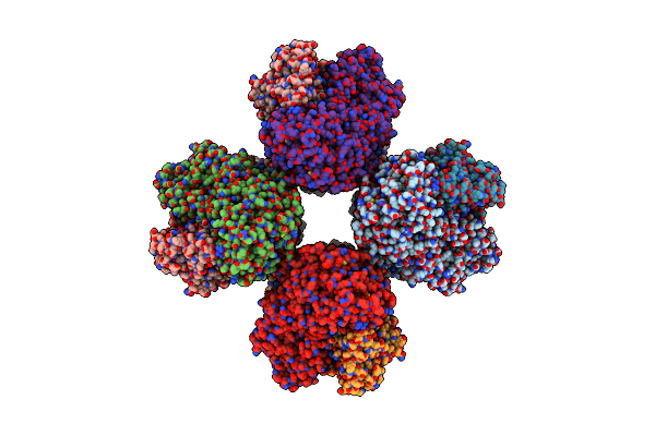 6LXV image