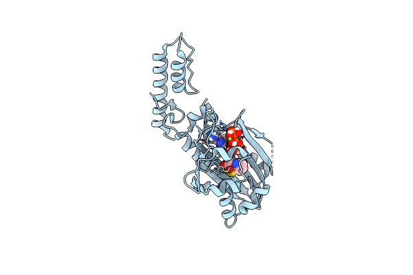 6LY3 image