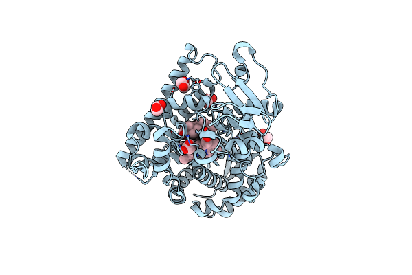 6LY4 image