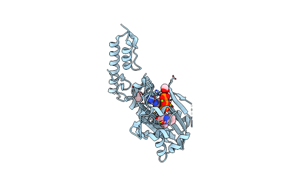 6LYA image