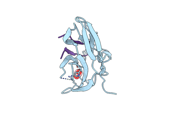 6LYC image