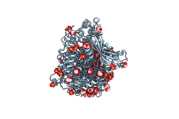 6LYO image