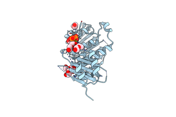 6LZI image