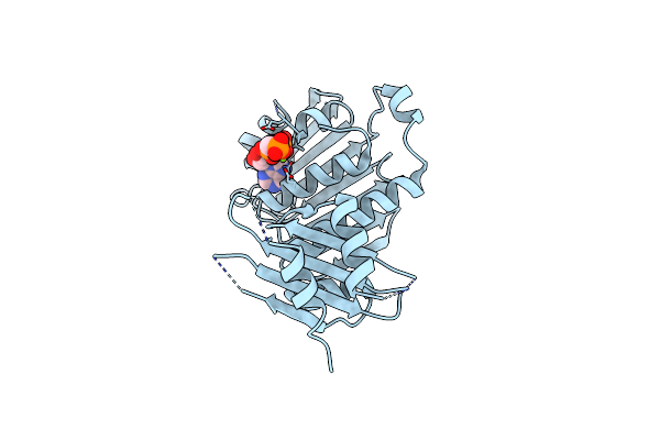 6LZJ image