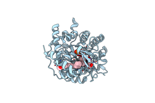 6LZL image