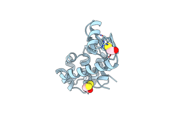 6LZM image