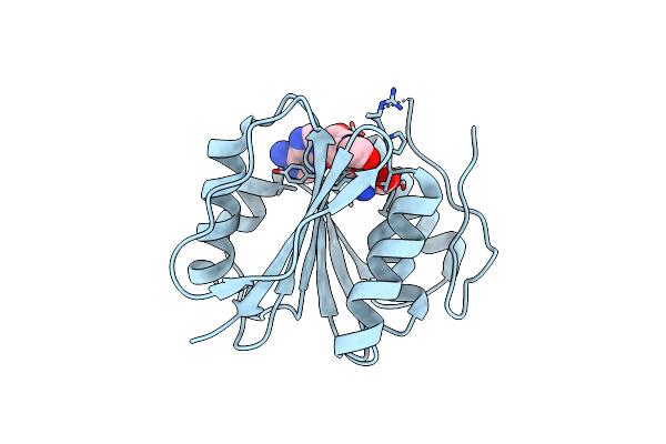 6M1C image