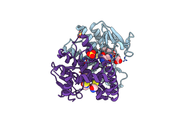 6M1T image
