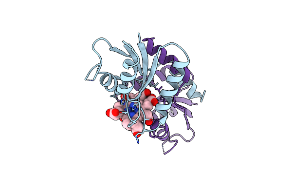 6M2H image