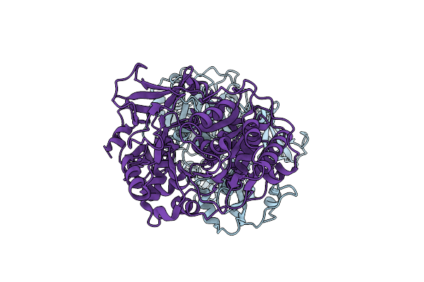 6M2O image
