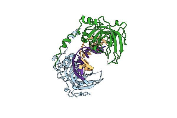 6M2V image