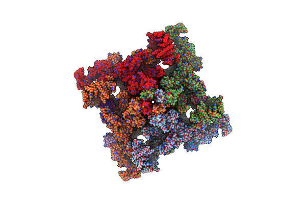 6M2W image