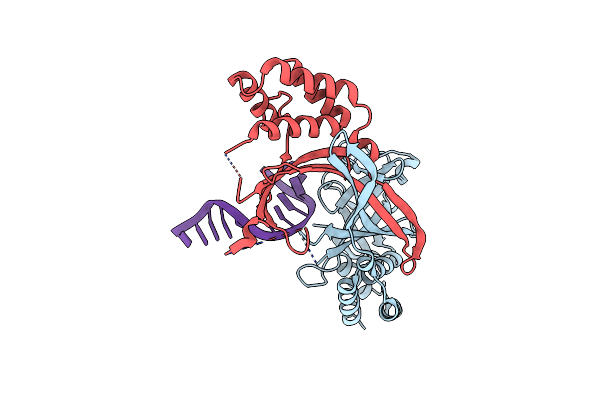 6M3L image
