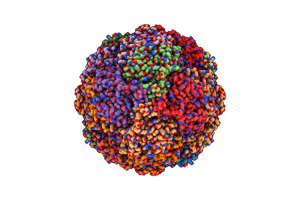 6M3X image