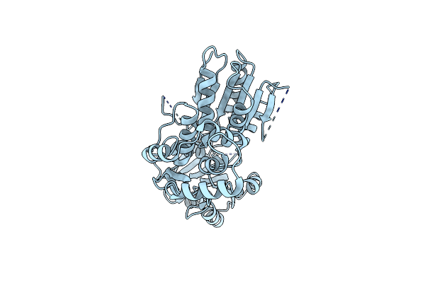 6M40 image
