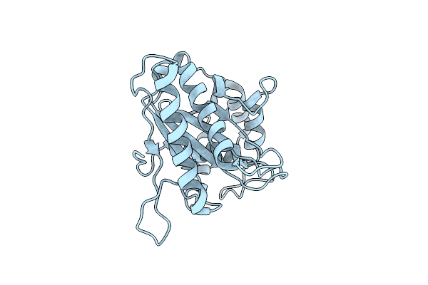 6M5T image