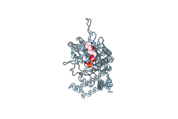 6M5W image