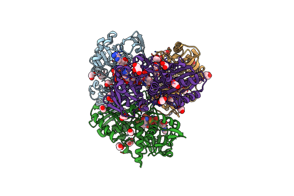 6M5X image