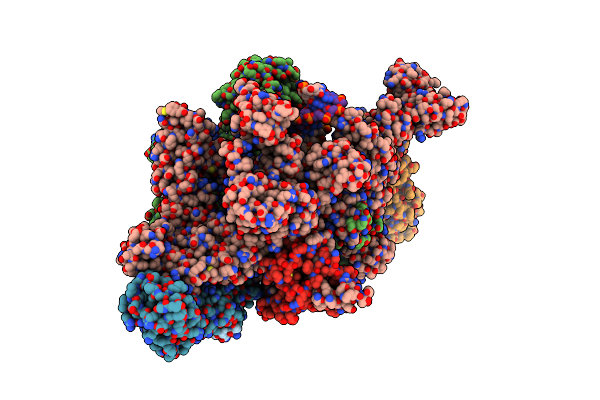6M6A image