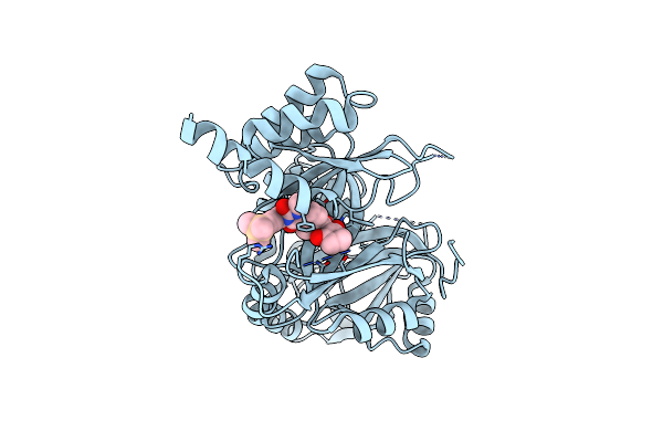 6M6D image