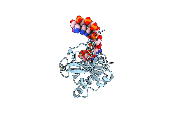 6M6R image