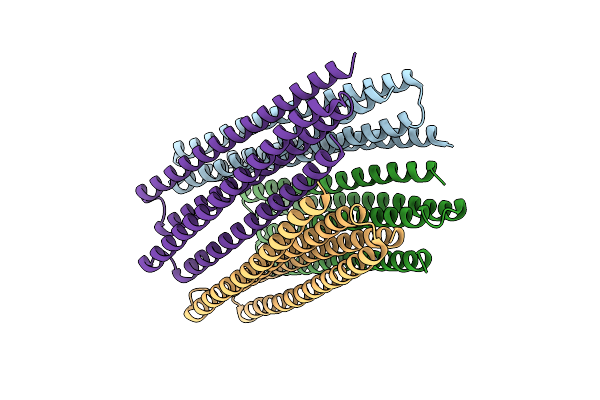 6M6Z image