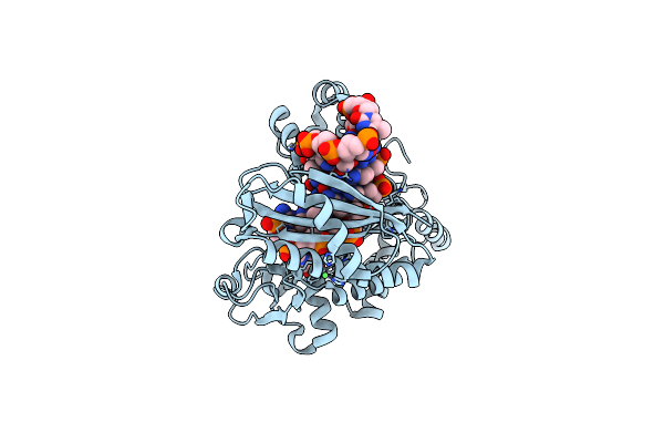 6M7V image