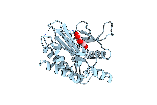 6M88 image