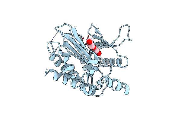6M8B image