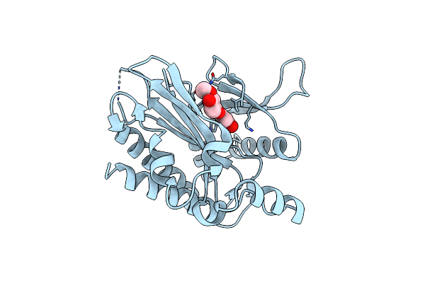 6M8C image