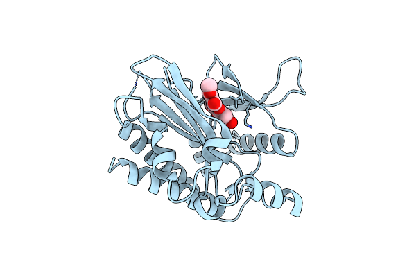 6M8D image