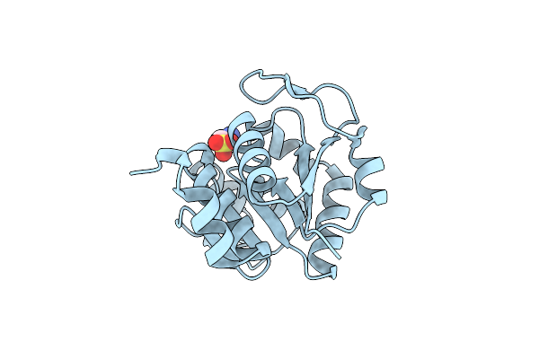 6M8Z image
