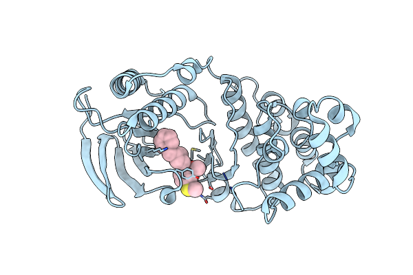 6M95 image