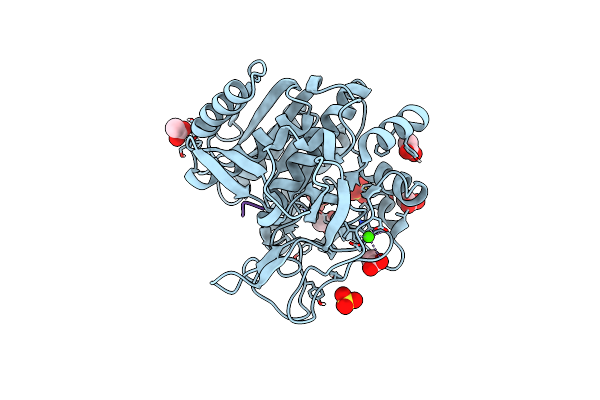 6M9C image