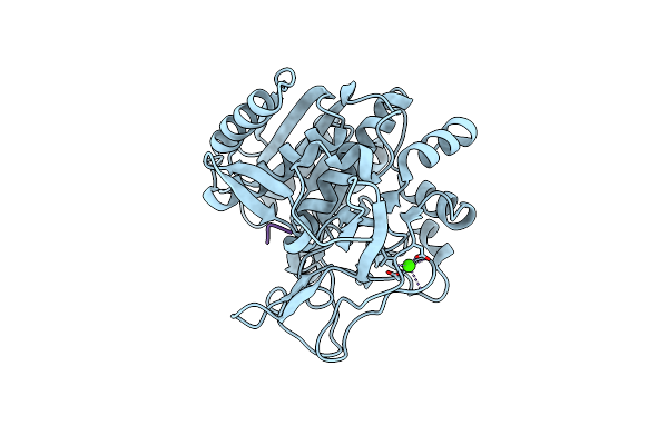 6M9D image
