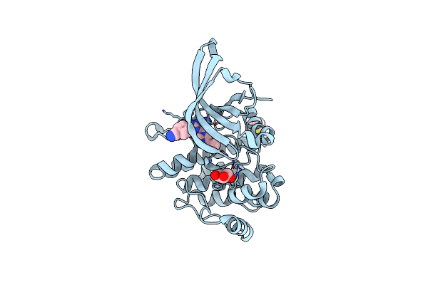 6M9H image