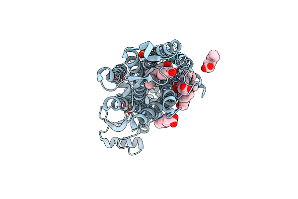 6M9T image