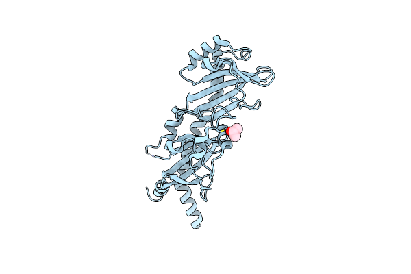 6MAB image
