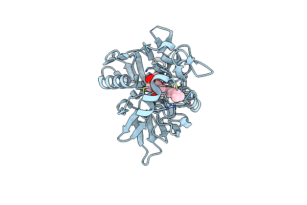 6MAE image