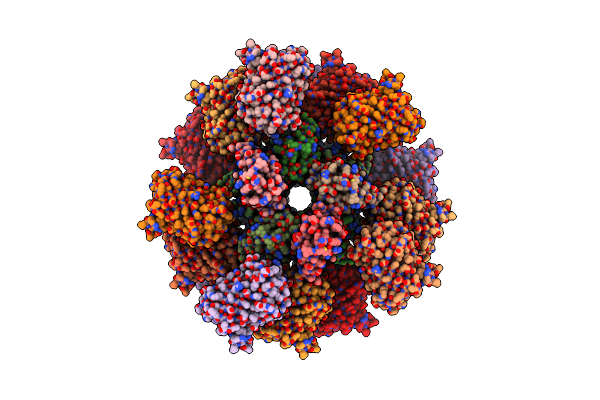 6MB2 image