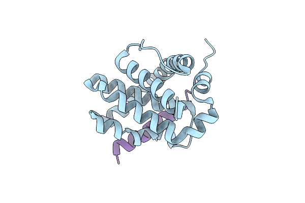 6MBE image