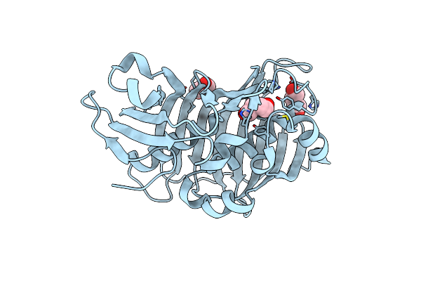6MBG image