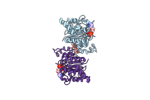6MBN image