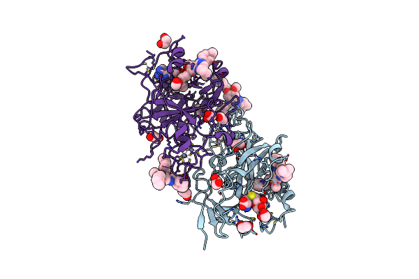 6MBO image