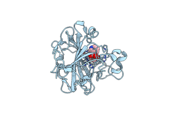 6MBV image