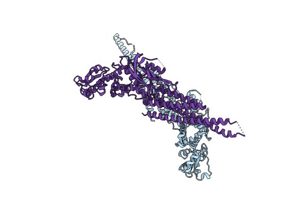 6MBZ image