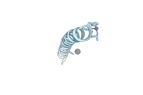 6MCD image